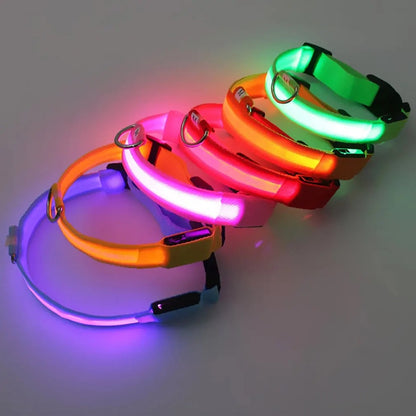 Collar con luces LED caminatas nocturnas para mascotas