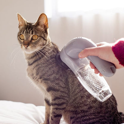 Aspiradora eléctrica de pelos para gatos y perros con cepillo